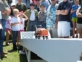 2014_Car_Show-398
