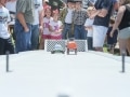 2014_Car_Show-404