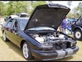 2019Carshow-161