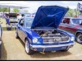 2019Carshow-203