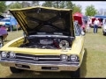 2019Carshow-232